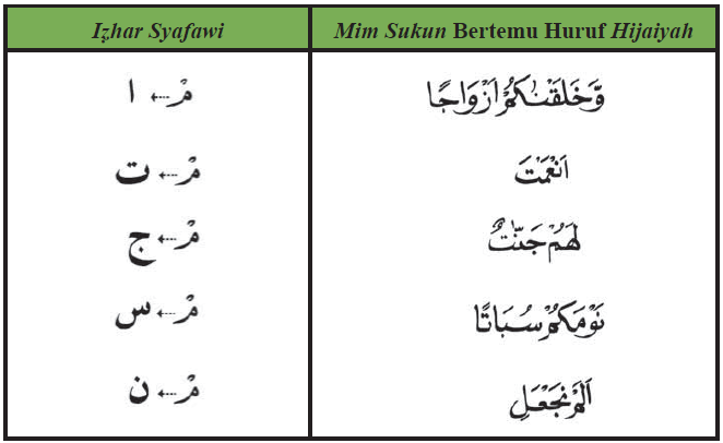 Hukum Bacaan Mim Mati (Contoh Izhar Syafawi, Ikhfa Syafawi 