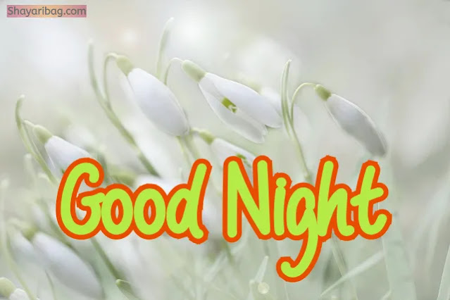 Good Night Images Good Night Images