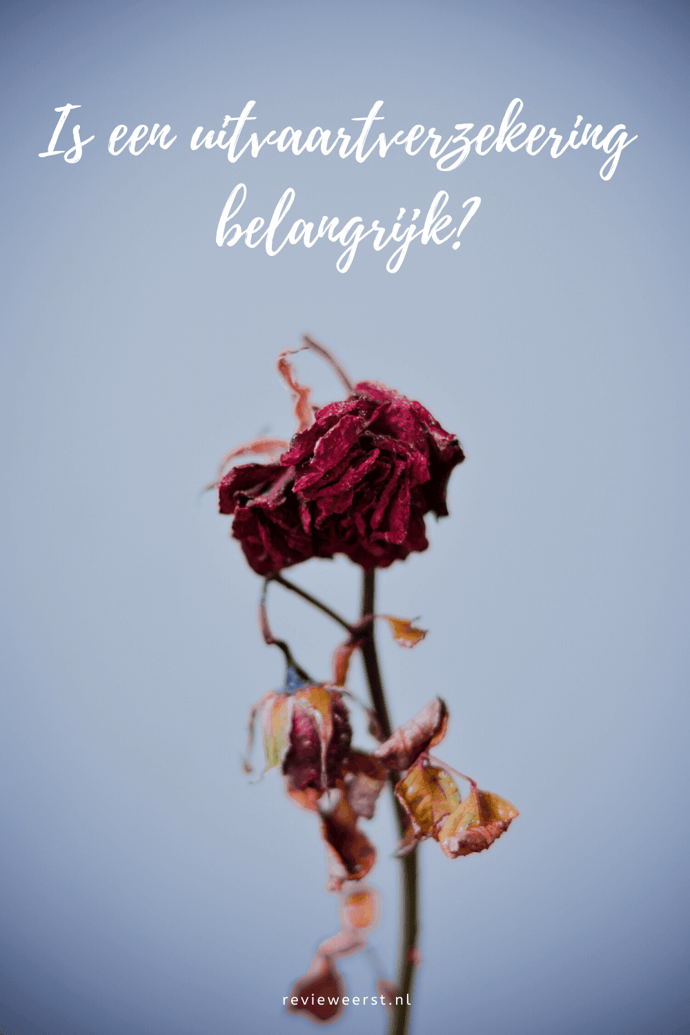 uitvaartverzekering uitvaartverzekering