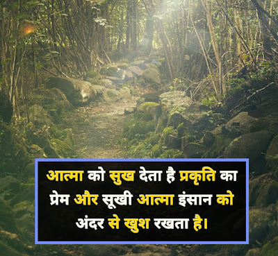 Nature Shayari Image