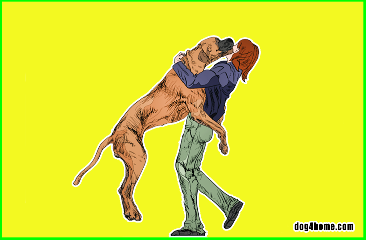 Here S Why Your Dog Jumps On You When You Get Home Plus 32