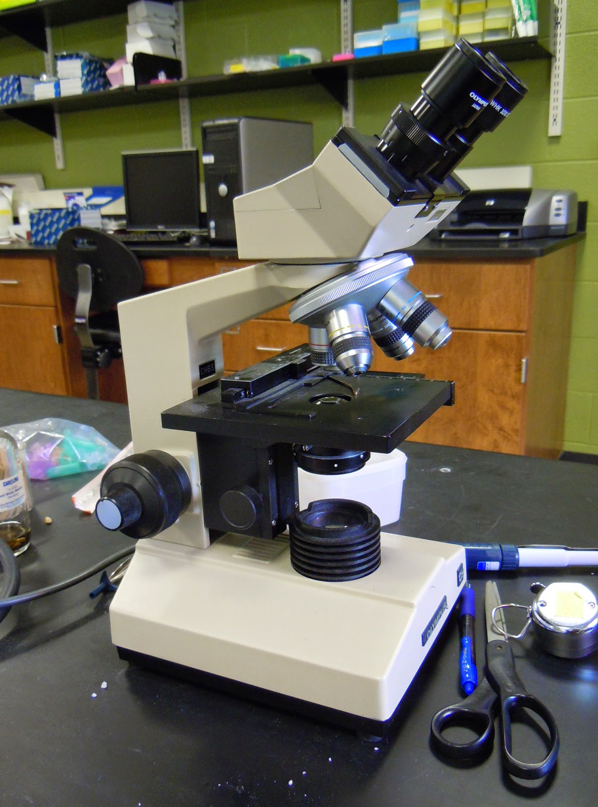 College Explorations NIH expands summer internship program to target