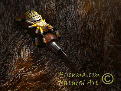 HUCUMA. artesanía en hueso y de diseño.: Araña sobre navaja.