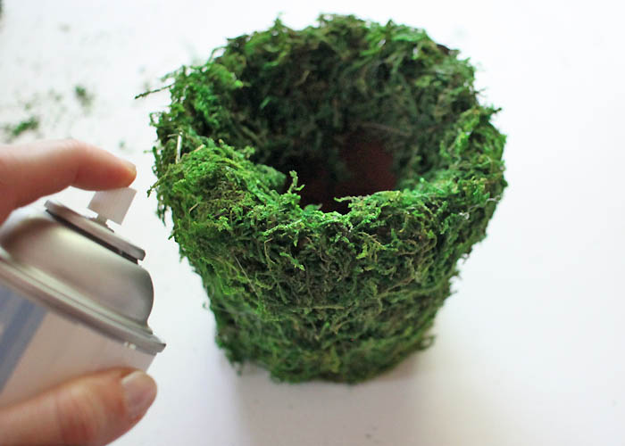 DIY Moss Covered Flower Pot Gina Michele
