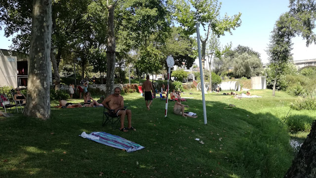 Zona de relvado e sombra na Praia da palmeira