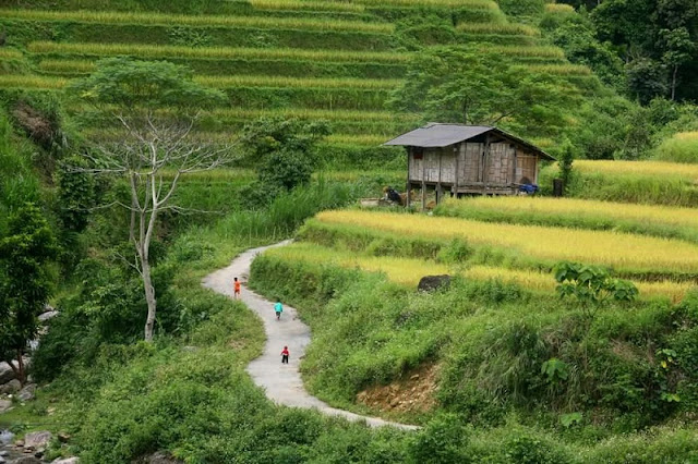 Trekking In Ha Giang Province [TRAVEL GUIDE 2019] 1