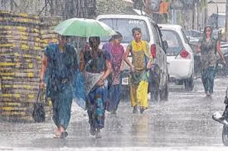 Monsoon expected to be normal this year, says Met department, New Delhi, Drinking Water, Rain, News, Farmers, Rajasthan, Kerala