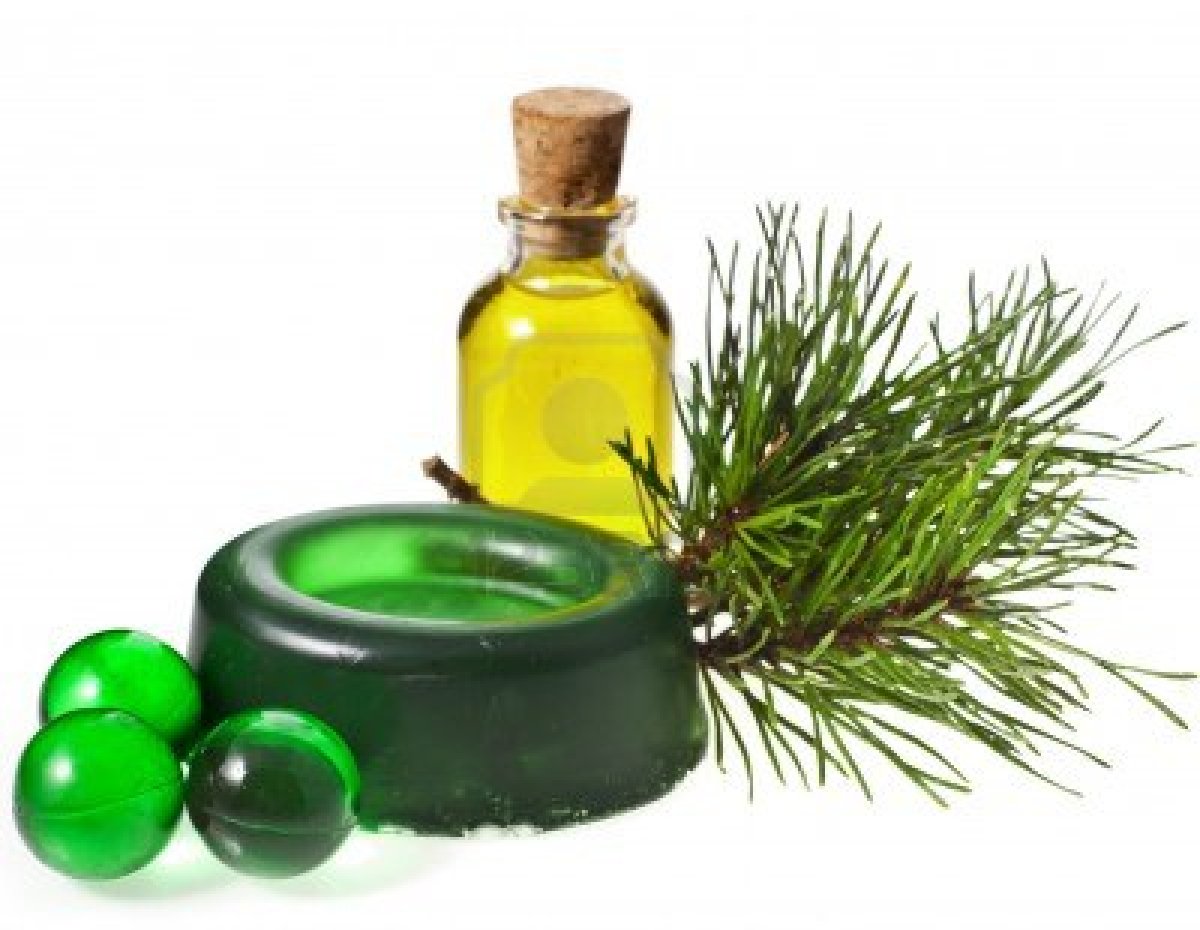 Çam ağacı hakkında › bilgi 7/24 Merve'den Güzellik Sırları: Çam Yağı