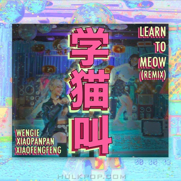 WENGIE, Xiaopanpan & Xiaofengfeng – Learn To Meow (Remix) – Single