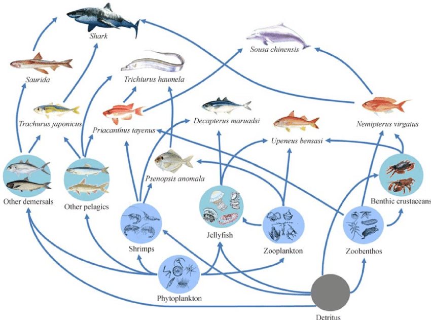 Learning with Ms. Jarrett