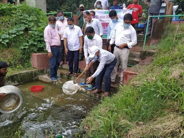 জাতীয় মৎস্য সপ্তাহ উপলক্ষে হরিপুরে মাছের পোনা অবমুক্ত