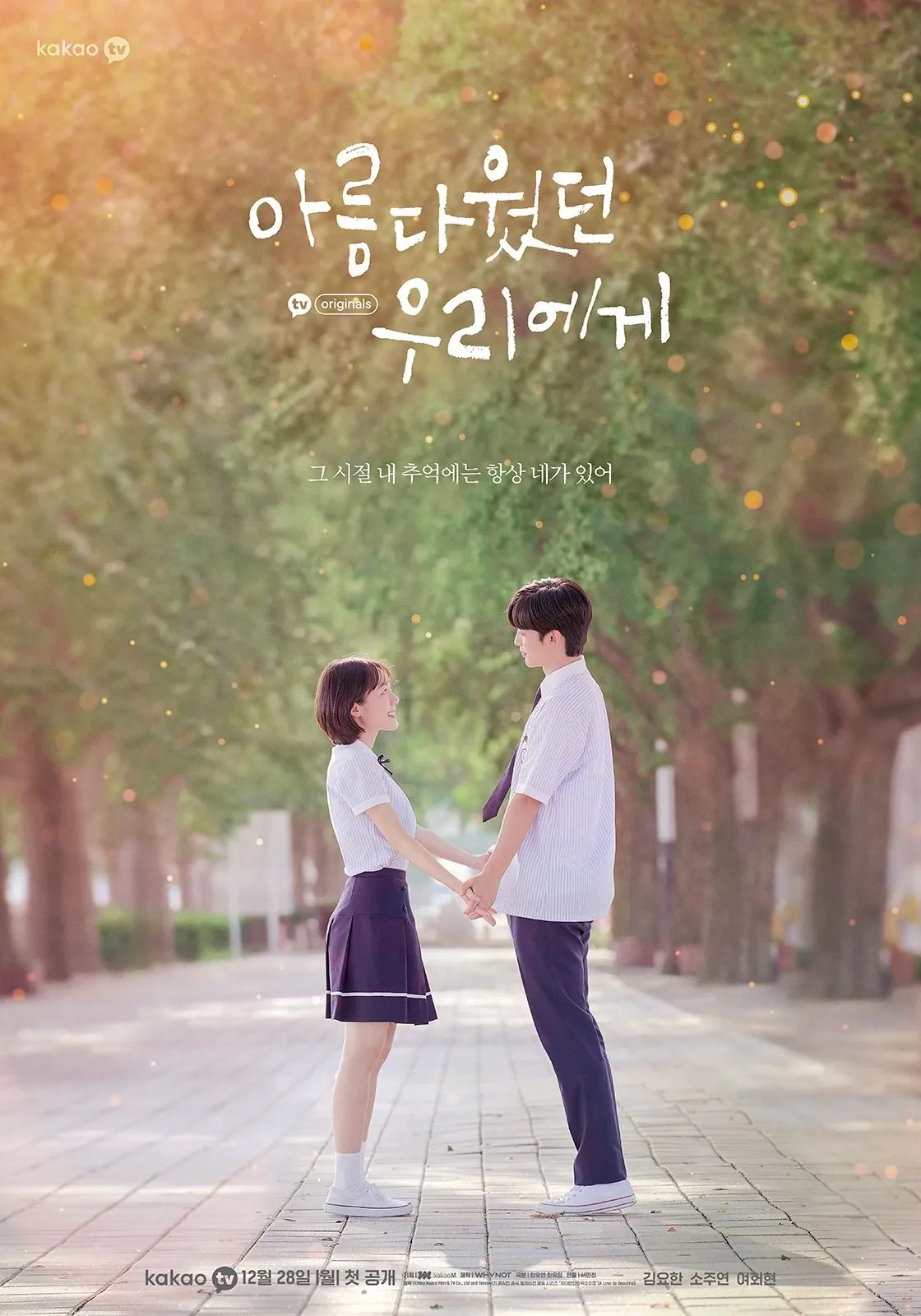 a love so beautiful drama netflix