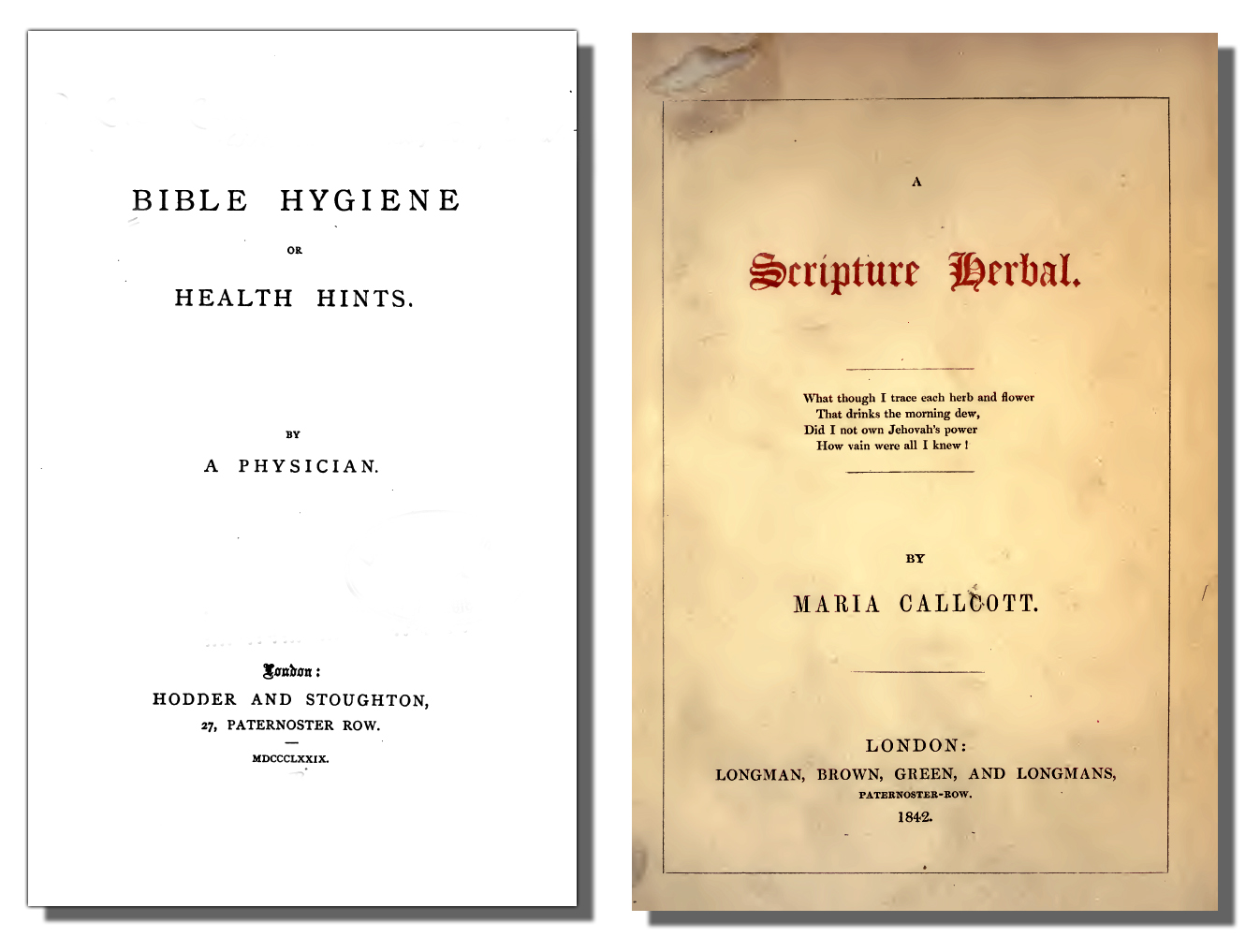 The Book Shelf The Pharmacy of the Bible 1872