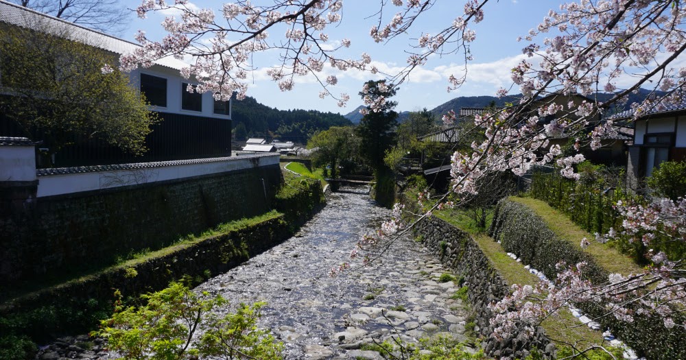 徒然おうどいろ日記 桜 朝倉 秋月城址