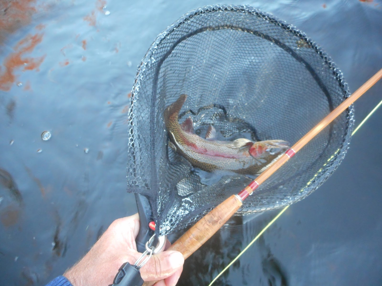 to the Millers River Fly Fishing Forum Like Day And Night