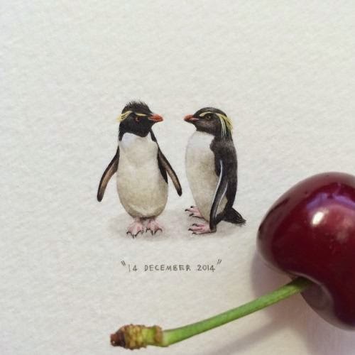 09-Rockhopper-Penguins-Lorraine-Loots-Miniature-Paintings-Commemorating-Special-Occasions-www-designstack-co