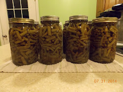 canning beans pressure onion exposed