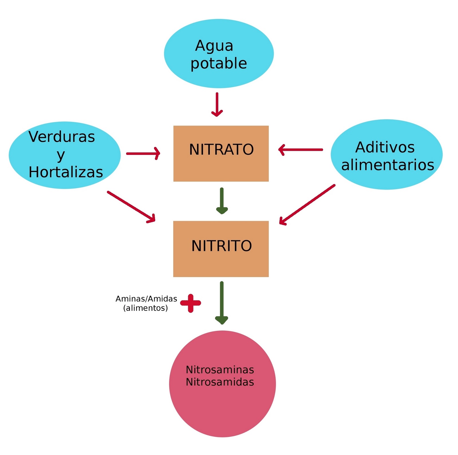 Técnicos en AlimCBTis162 Determinación de Nitritos y Nitratos Técnicos en AlimCBTis162 Determinación de Nitritos y Nitratos