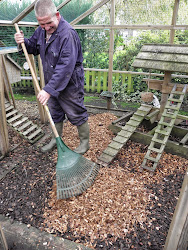chicken flooring poultry woodchip clean runs disinfectant mud