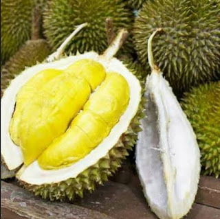 Durian matahari
