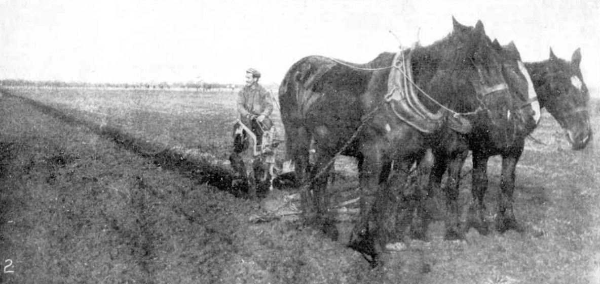 Koo Wee Rup Swamp History July 2020