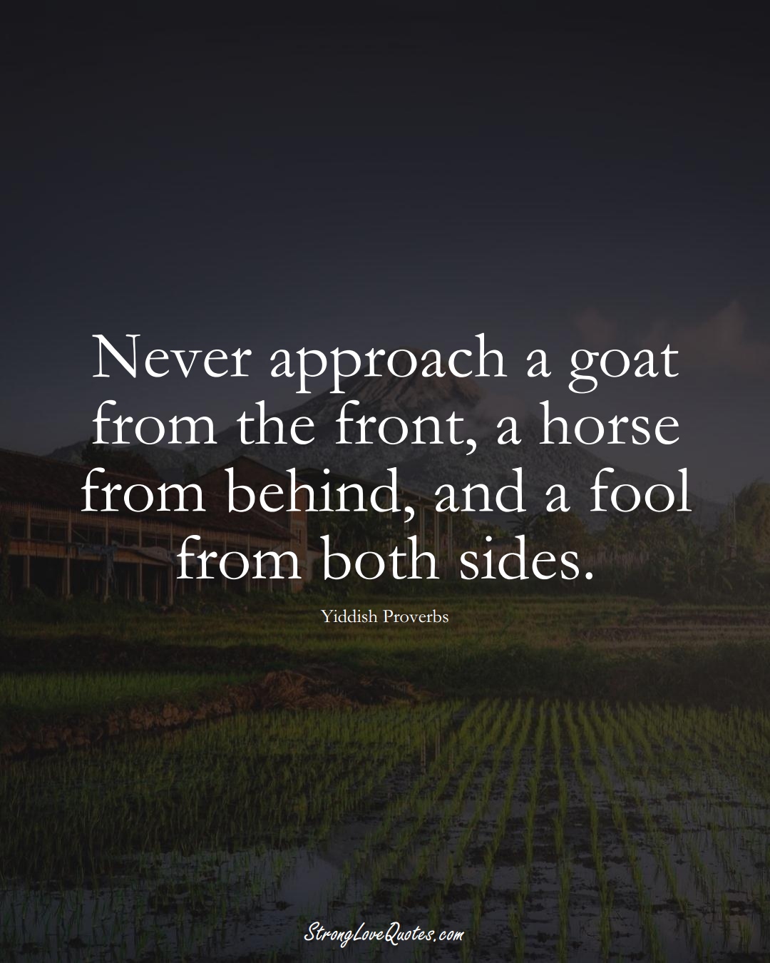 Never approach a goat from the front, a horse from behind, and a fool from both sides. (Yiddish Sayings);  #aVarietyofCulturesSayings