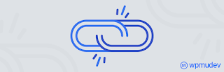 broken link checker plugin