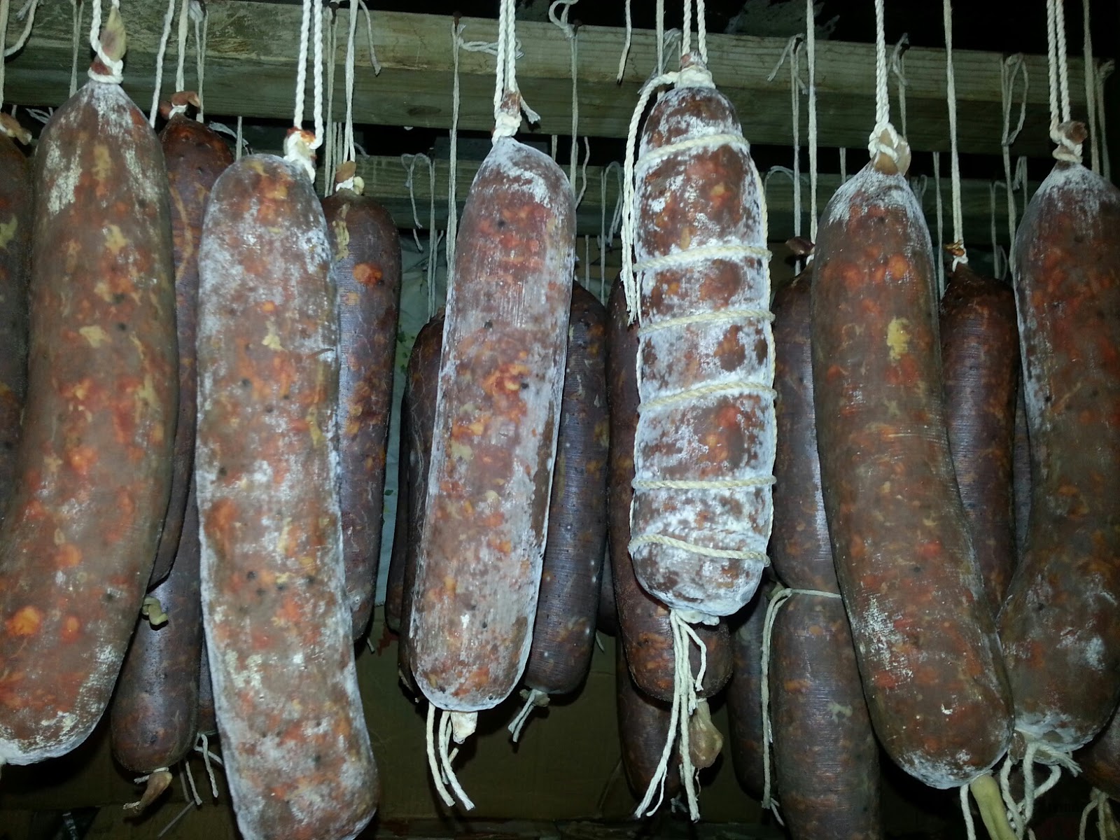 ALostArt Sopressata 2013