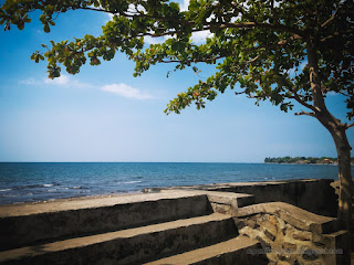 Natural Tropical Beach Shade Tree View Beside Beach Barrier And The Stairs On A Sunny Day At The Village North Bali Indonesia