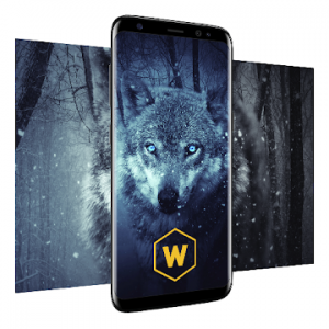 تحميل تطبيق Wallpapers HD, 4K Backgrounds v2.7.11 (Premium) Apk