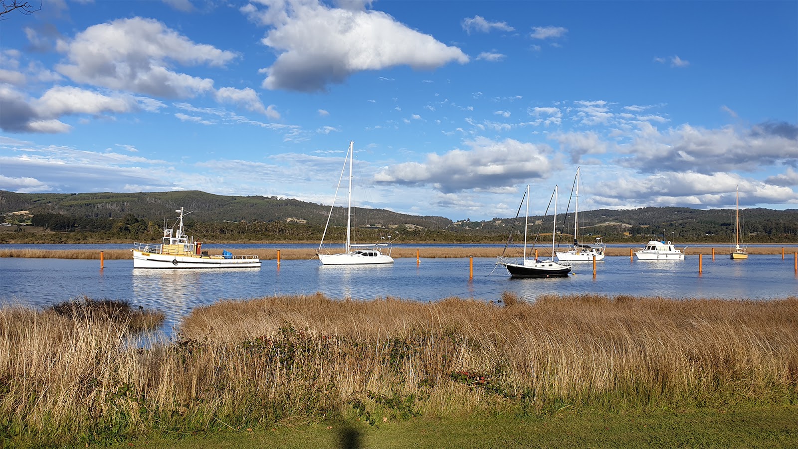 thoughts & happenings Franklin, Tasmania