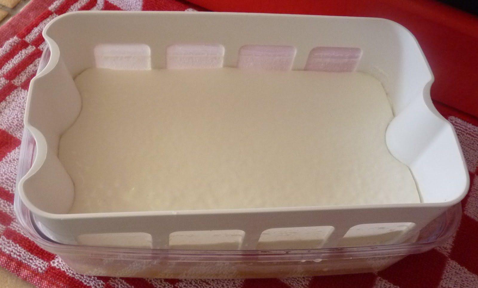 Fromage blanc de chèvre Multidélices