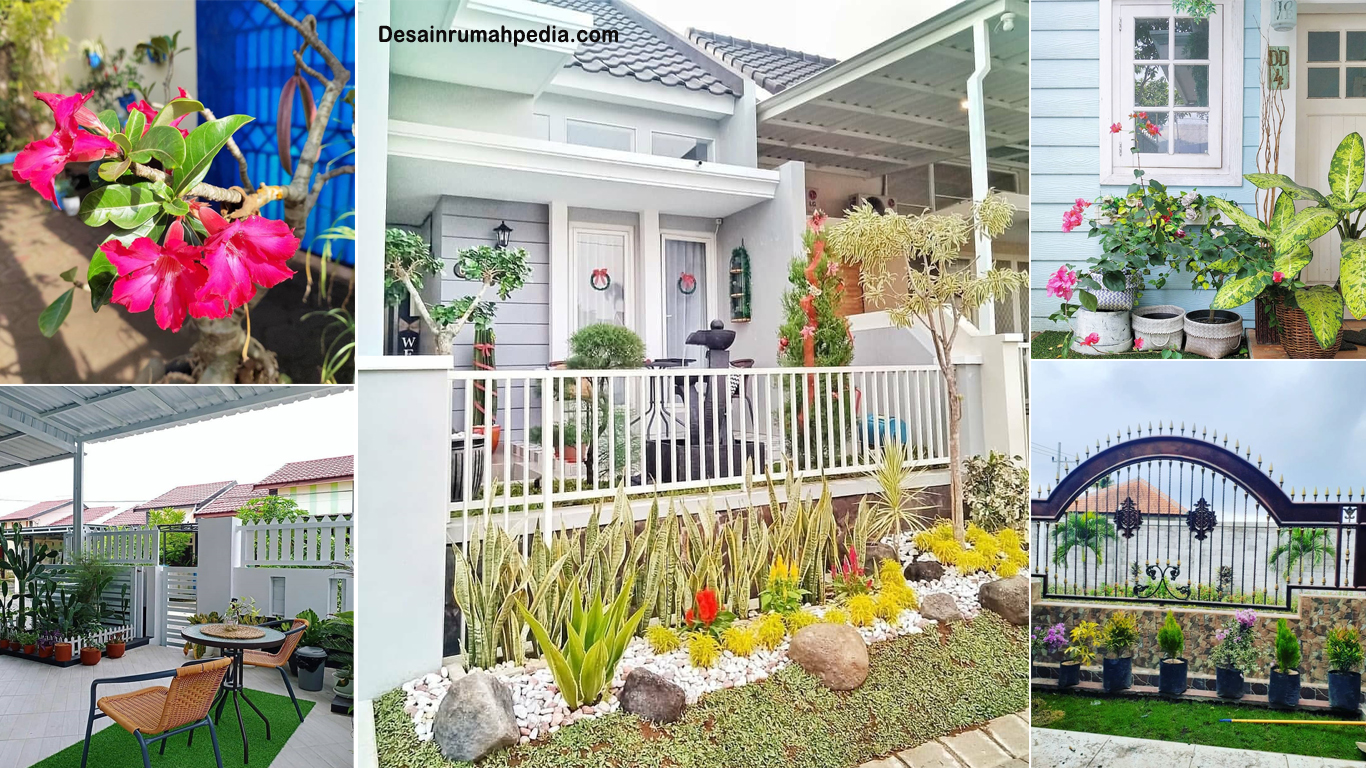 Tanaman untuk Teras yang Tahan Panas dan Membuat Rumah Sejuk