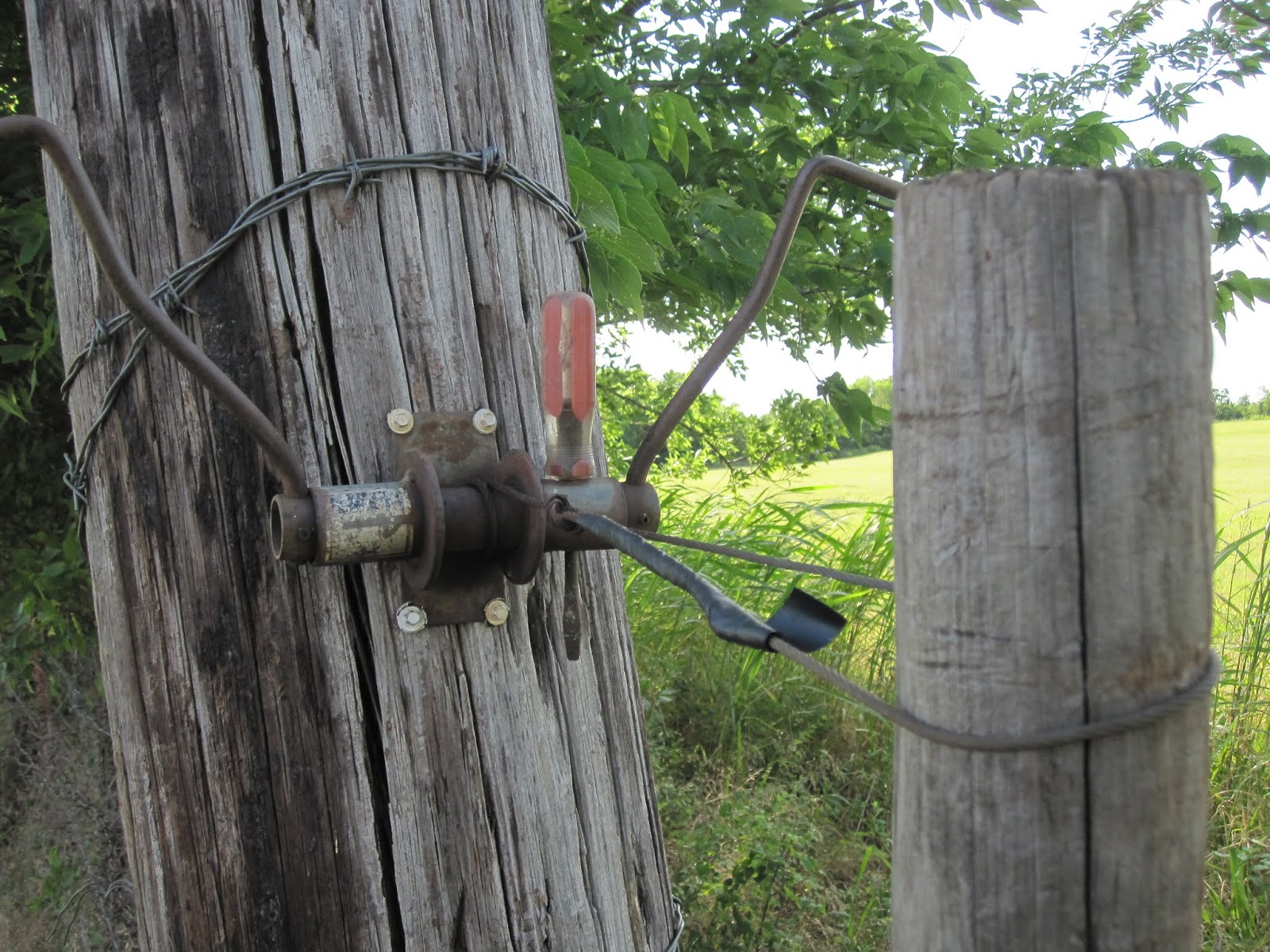 Faith_Family_Farm The Barbed Wire Gate Closer