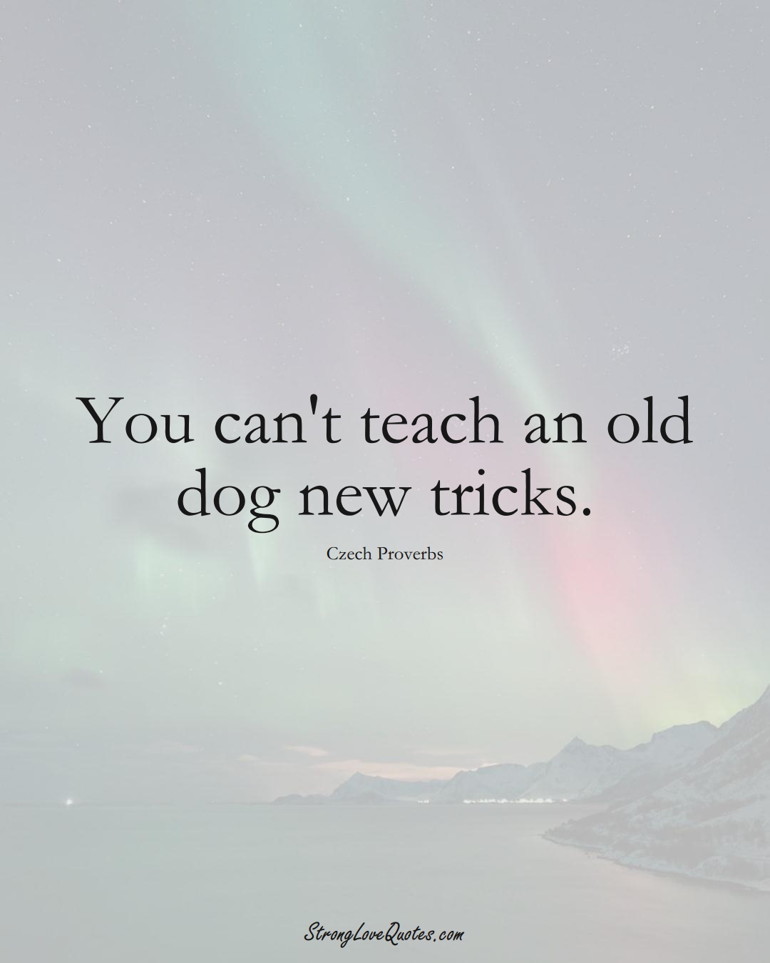 You can't teach an old dog new tricks. (Czech Sayings);  #EuropeanSayings