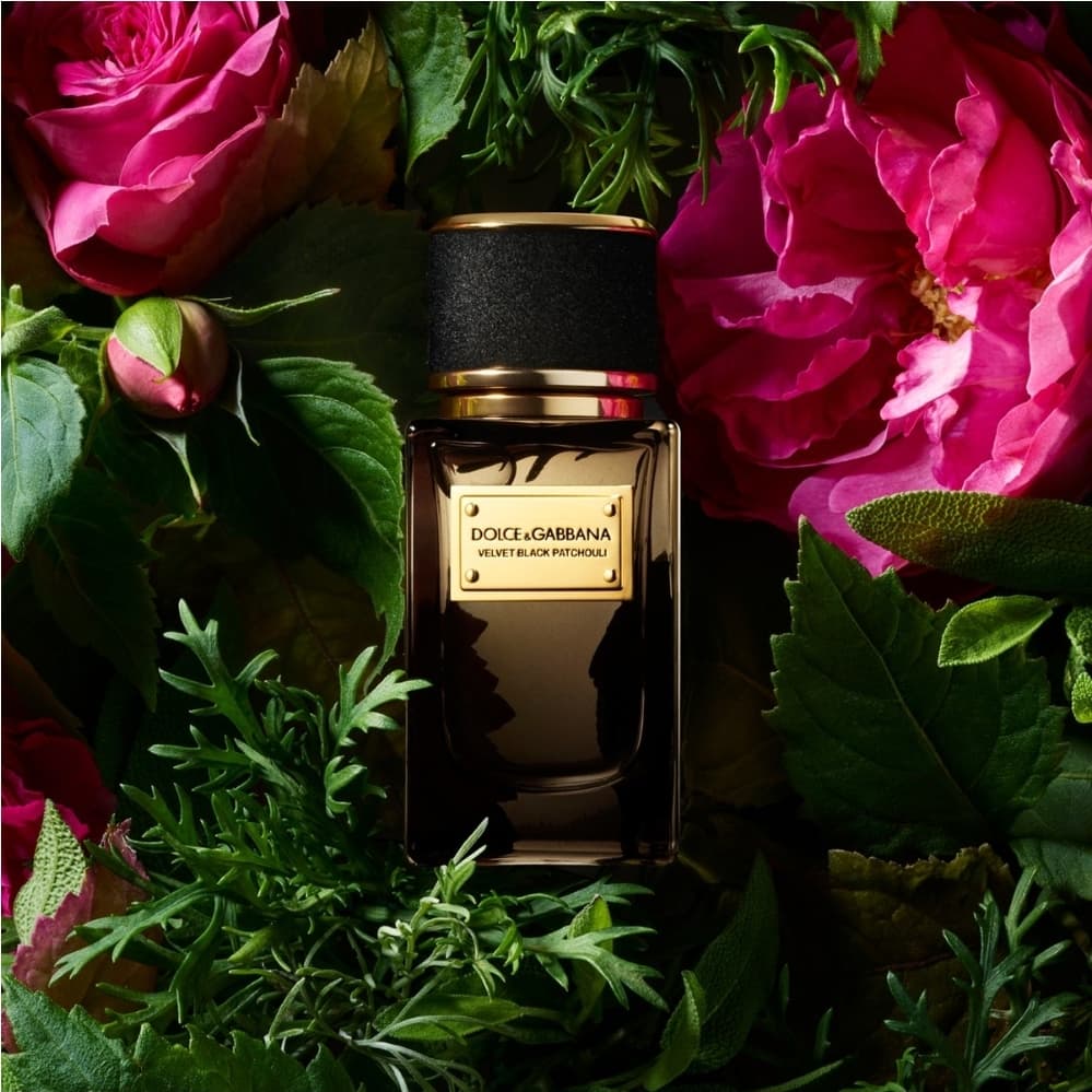 NOUVEAU PARFUM DOLCE & GABBANA VELVET BLACK PATCHOULI