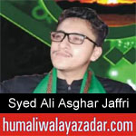 https://www.humaliwalyazadar.com/2018/09/syed-ali-asghar-jaffri-nohay-2019.html