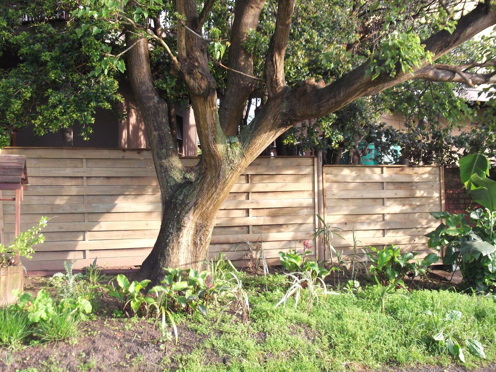 SHANE'S TIMBERS TIMBER FENCING