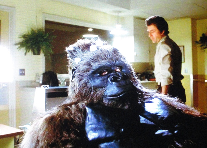 MUSINGS OF A SCIFI FANATIC The Incredible Hulk S1 Ep4 The Beast Within
