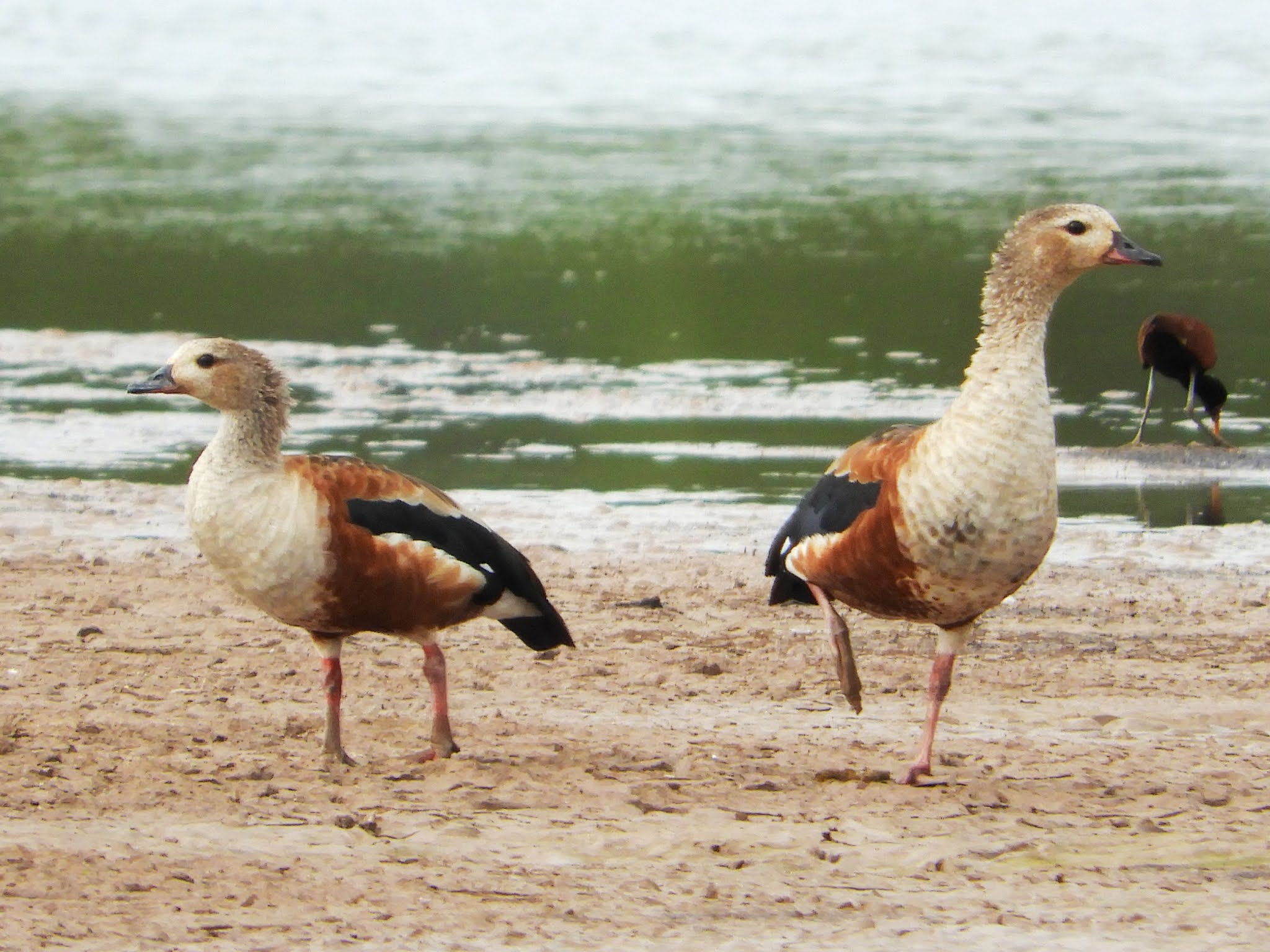 Reserva Natural Formosa