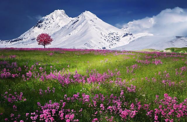 mountains-736886_960_720.jpg