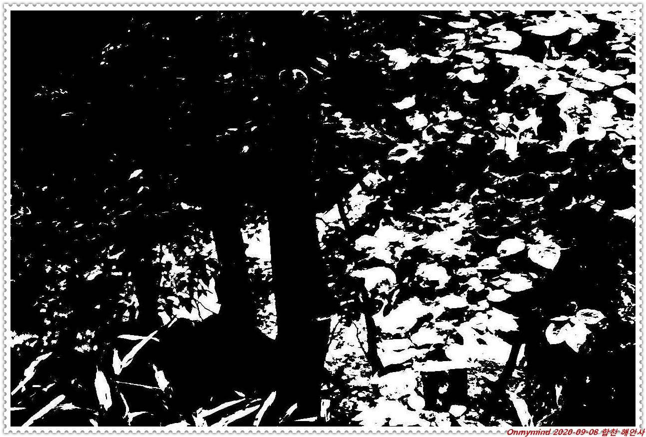 합천 해인사 합천 해인사