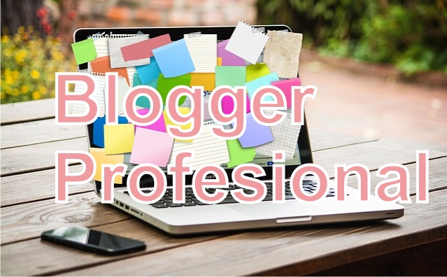 Blogger Profesional Cara Menjadi Blogger Profesional