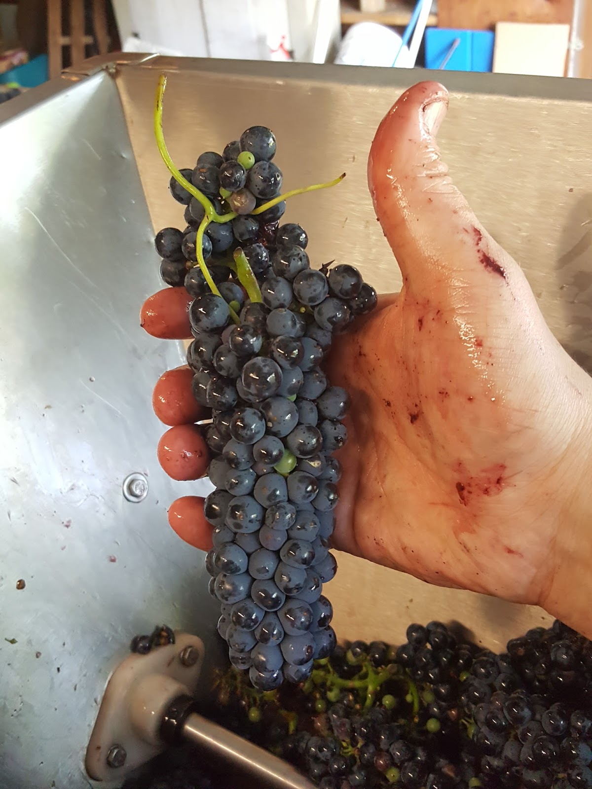 Poni Home Vineyard & Winery Your Best Crush and Press