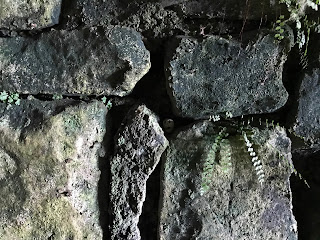 Skulferatu #39 in gap in wall inside the Monk’s Cave with ferns growing out the side of the wall.  Photo by Kevin Nosferatu for the Skulferatu Project.