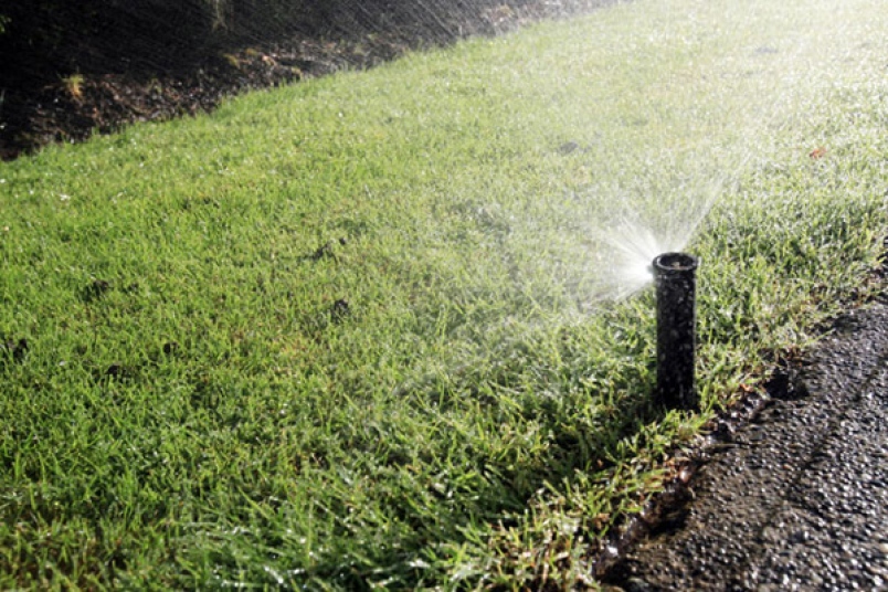 How to Conserve Water in Your Lawn - Best Manual Lawn Aerator