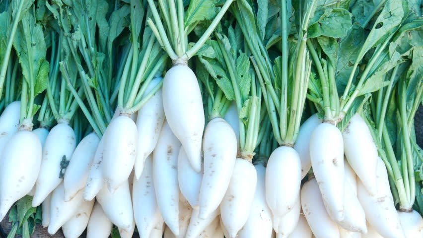 कैंसर के लिए किसी अमृत से कम नहीं है मूली, कैंसर रिसर्च फंड ने स्टडी में देखें नतीजे कैंसर के लिए किसी अमृत से कम नहीं है मूली, कैंसर रिसर्च फंड ने स्टडी में देखें नतीजे