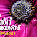 Kerala PSC Daily Malayalam Current Affairs Apr 2021