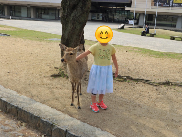 A child with a deer