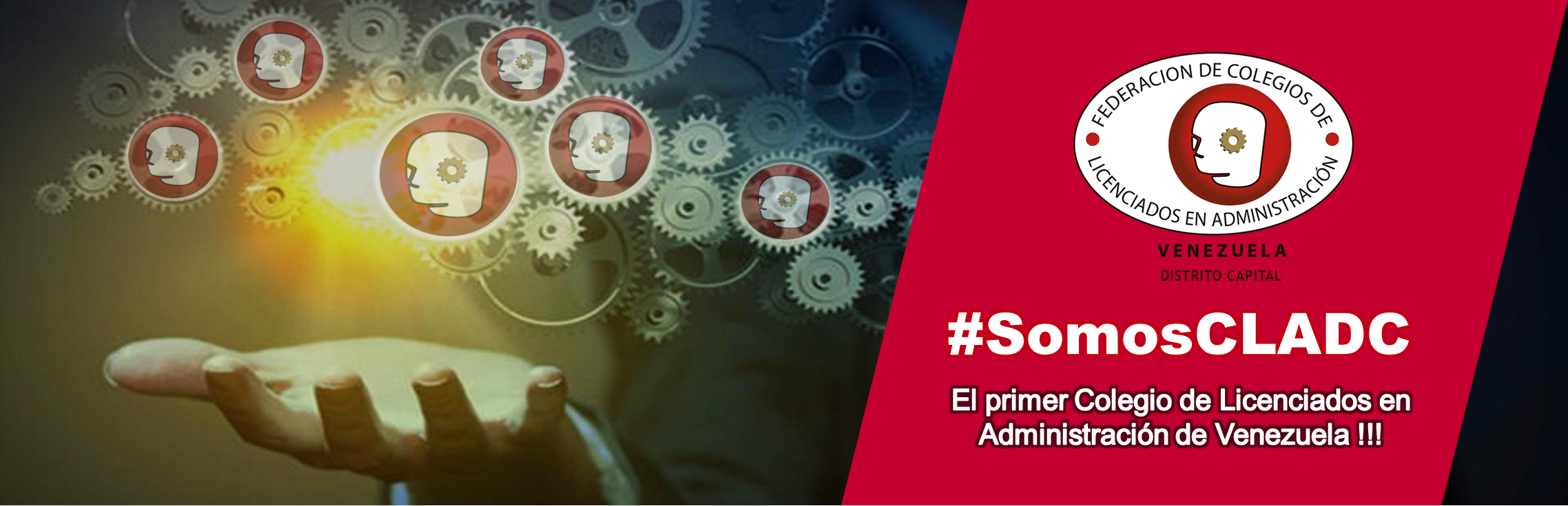 Colegio De Licenciados En Administracion Del Distrito Capital Cladc